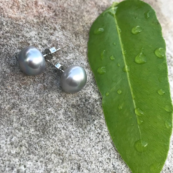 Grey freshwater pearls stud earrings 11 mm - The Lotus Wave
