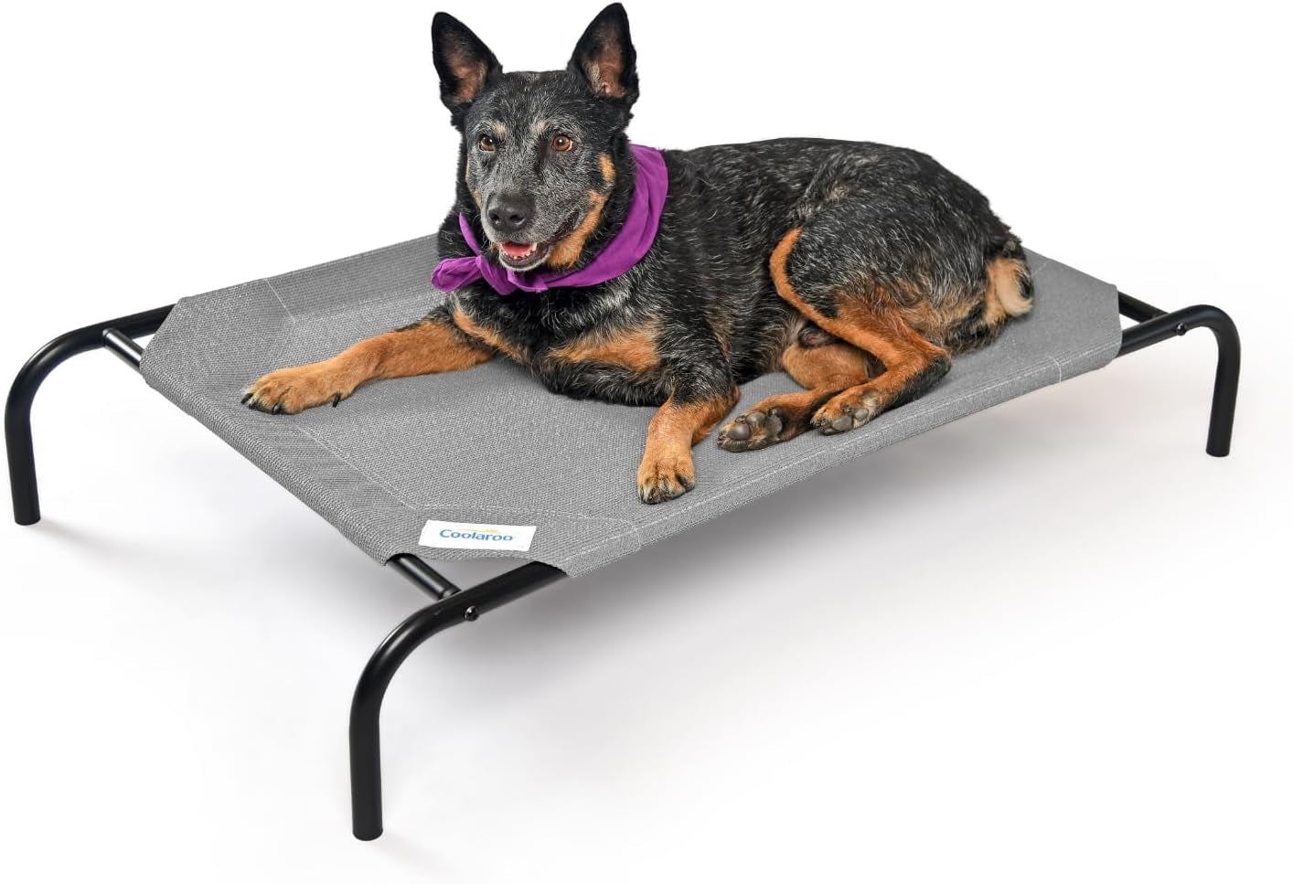 Elevated Cooling Outdoor Indoor Raised Portable Dog Cat Bed Dog Cot Bed