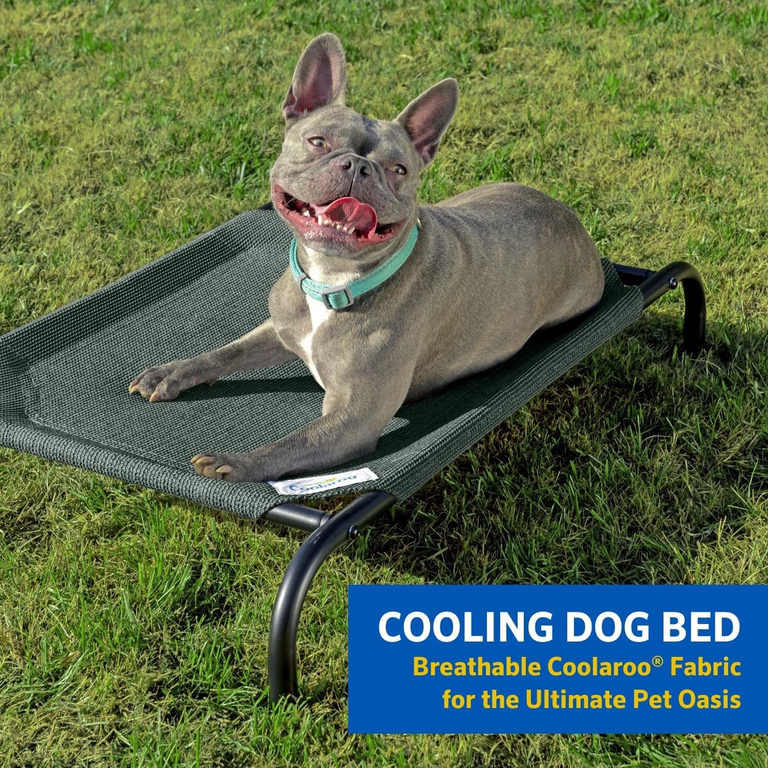 Elevated Cooling Outdoor Indoor Raised Portable Dog Cat Bed Dog Cot Bed