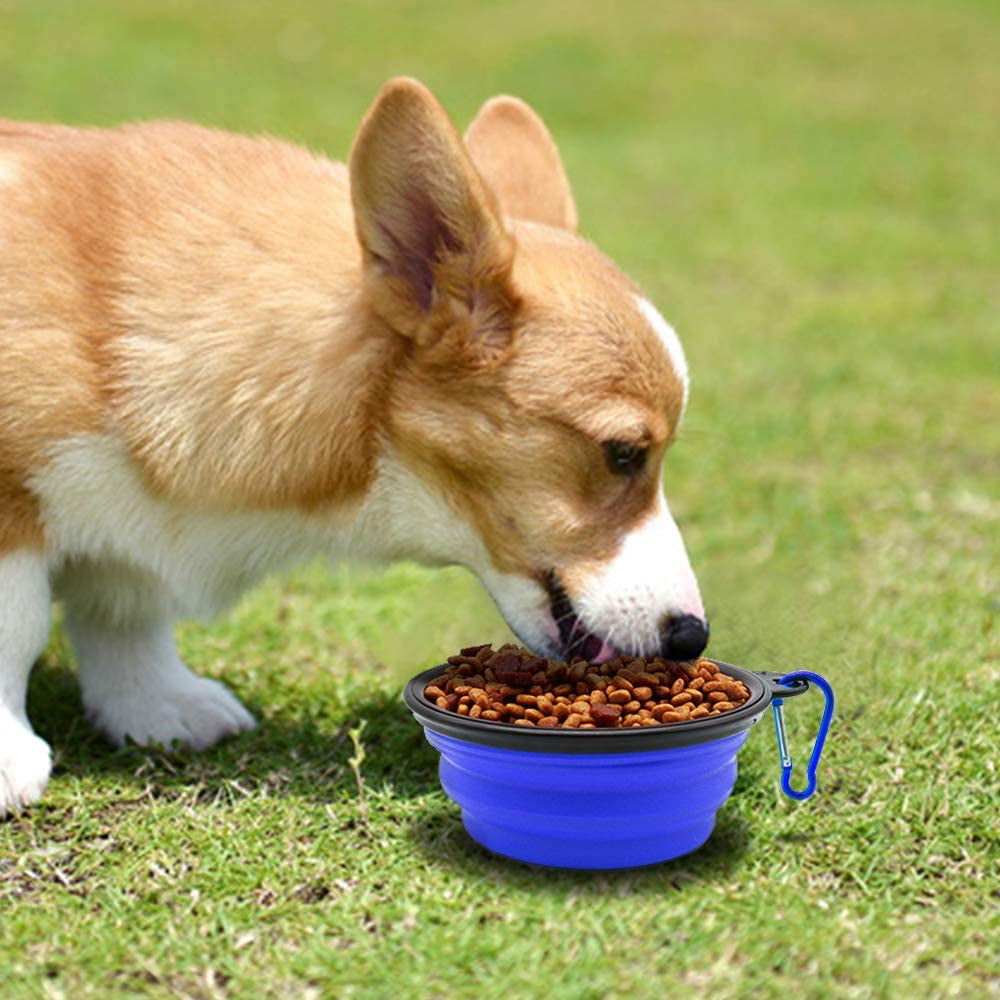 Collapsible Water Bowl Portable Travel Feeding Dish Silicone Bowls food dish