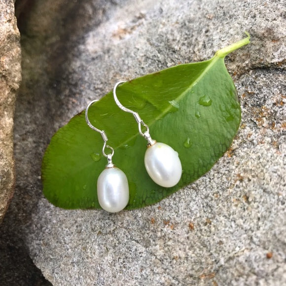 Cream color fresh water authentic pearl earrings - The Lotus Wave 